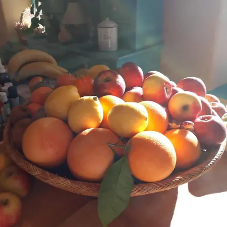 Frühstückspension Chez Cathy Arzier