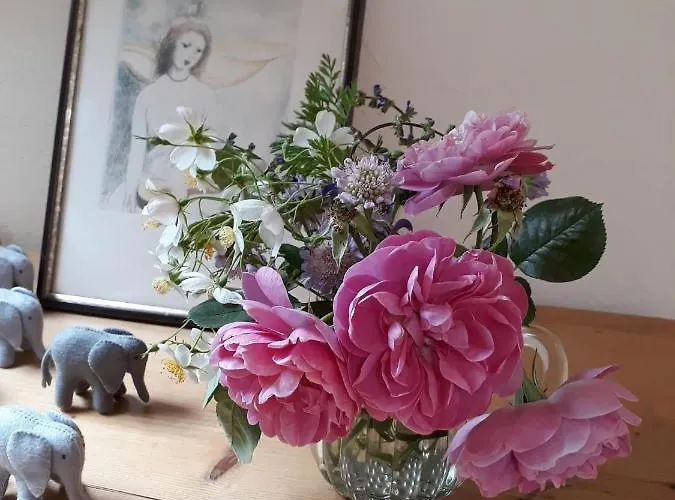 Oda ve Kahvaltı Chez Cathy