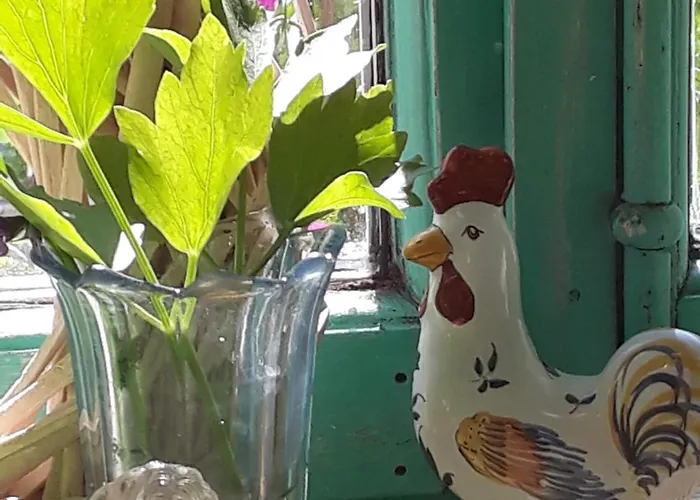 Chez Cathy Отель типа 